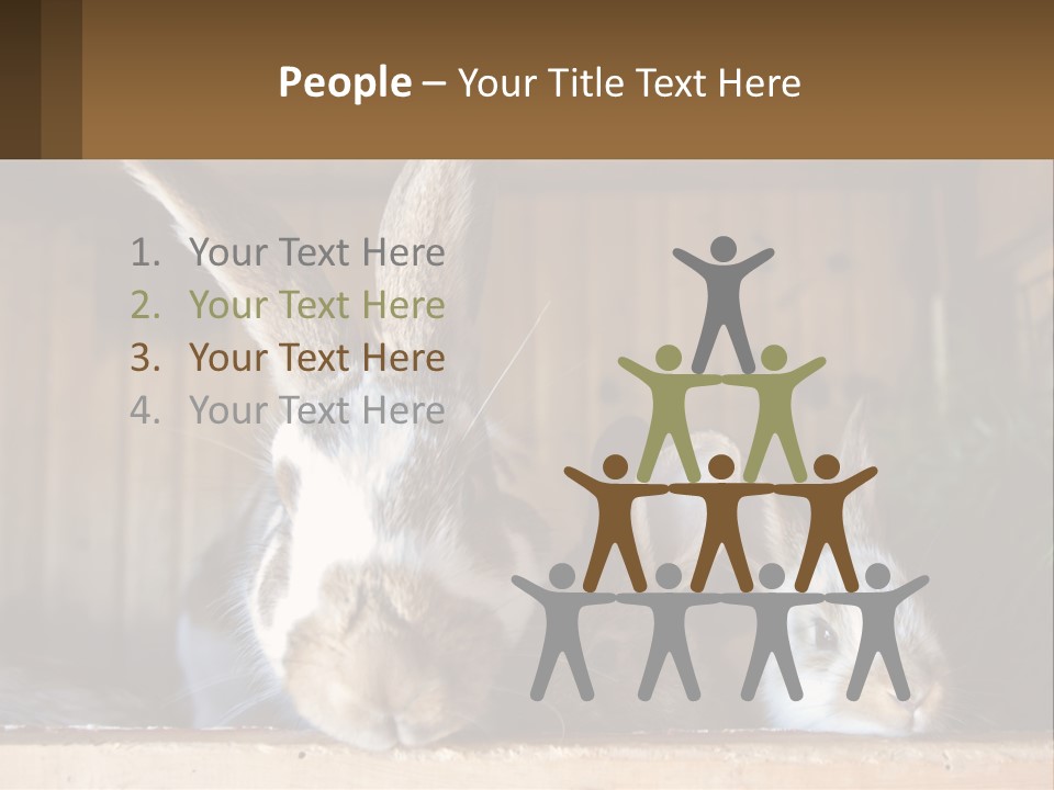 A Couple Of Rabbits Sitting Next To Each Other PowerPoint Template
