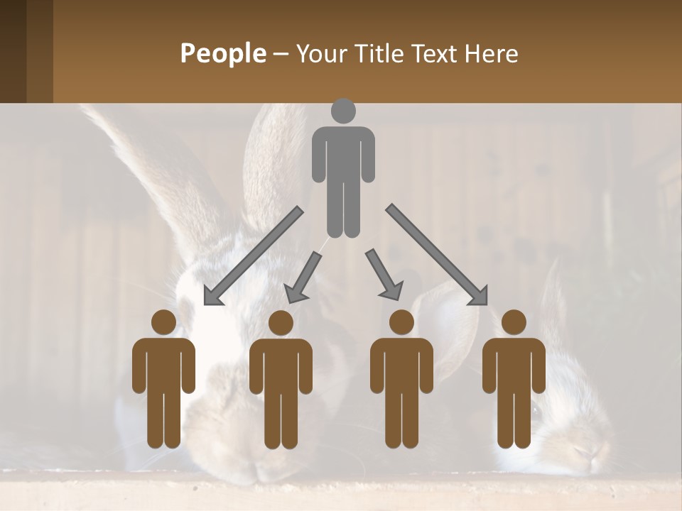 A Couple Of Rabbits Sitting Next To Each Other PowerPoint Template