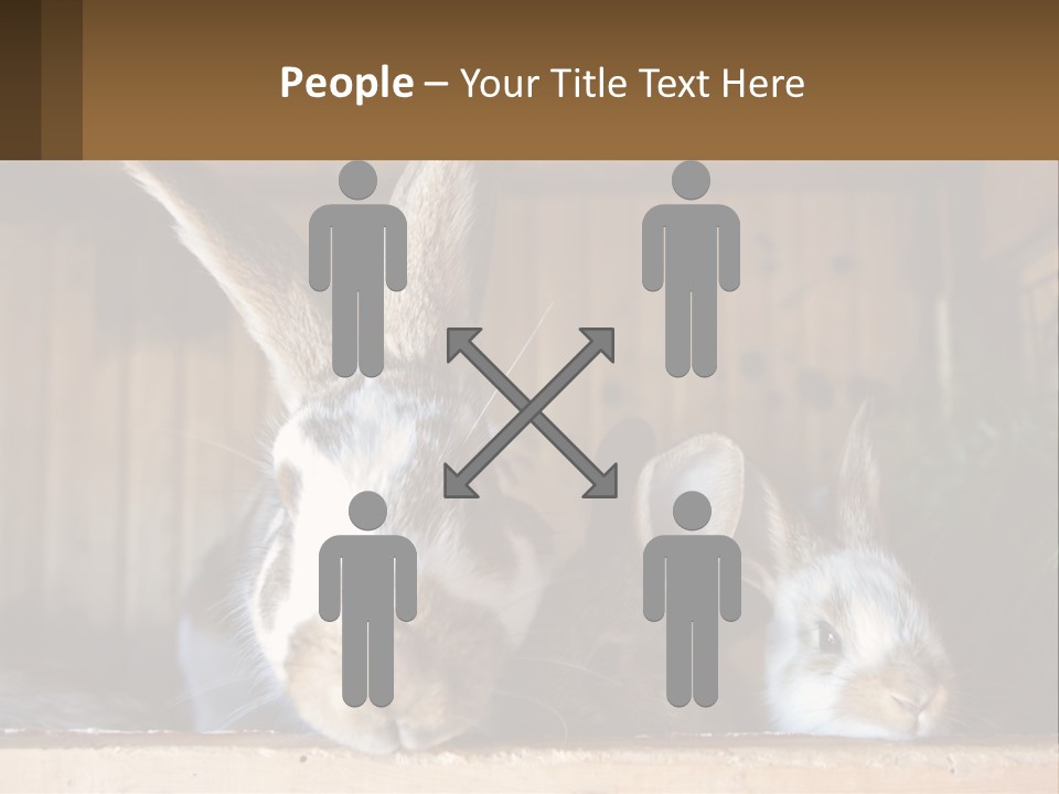 A Couple Of Rabbits Sitting Next To Each Other PowerPoint Template