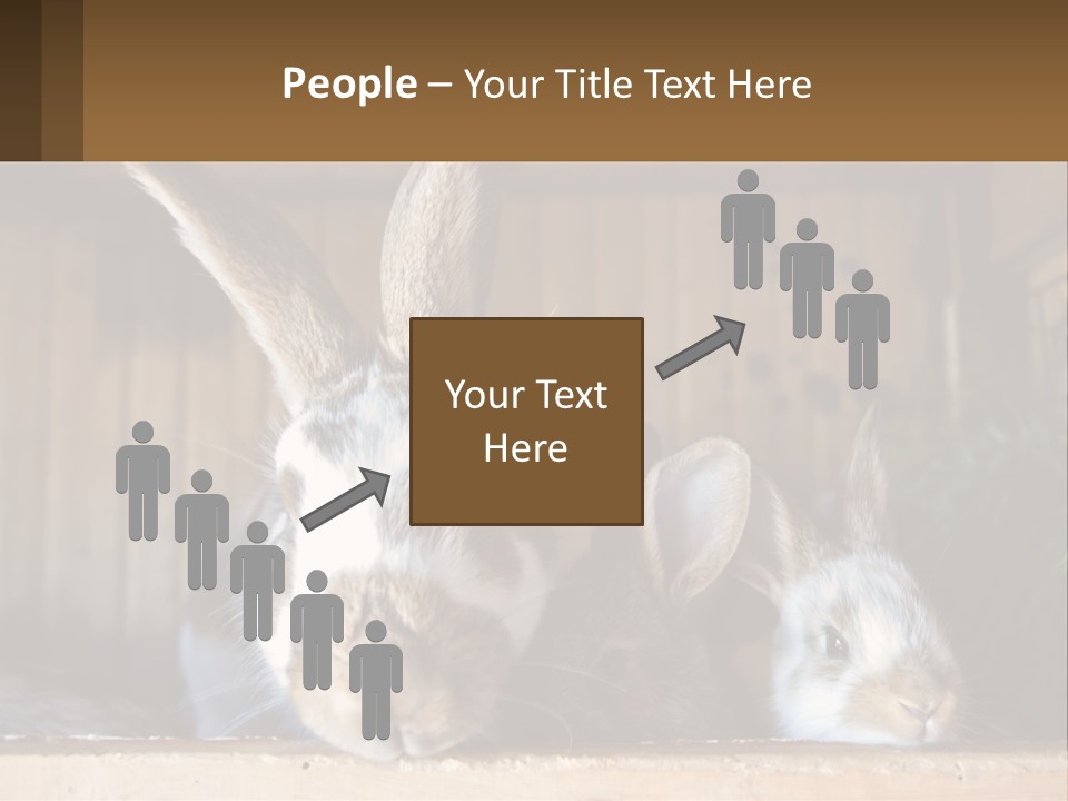 A Couple Of Rabbits Sitting Next To Each Other PowerPoint Template