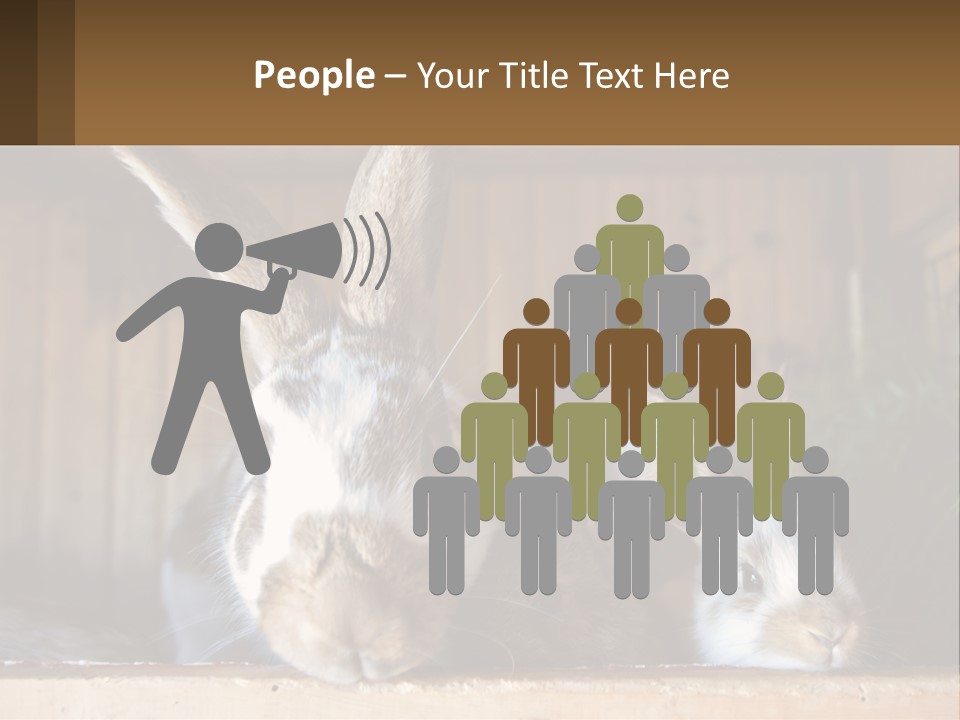 A Couple Of Rabbits Sitting Next To Each Other PowerPoint Template