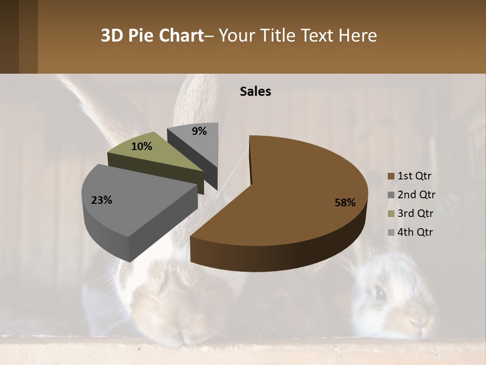 A Couple Of Rabbits Sitting Next To Each Other PowerPoint Template