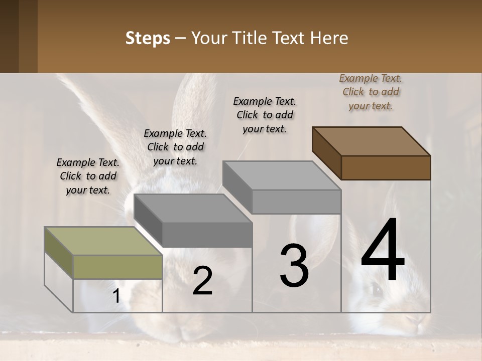 A Couple Of Rabbits Sitting Next To Each Other PowerPoint Template
