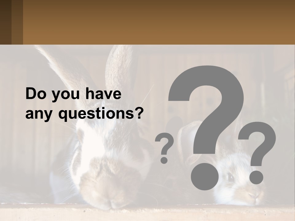 A Couple Of Rabbits Sitting Next To Each Other PowerPoint Template