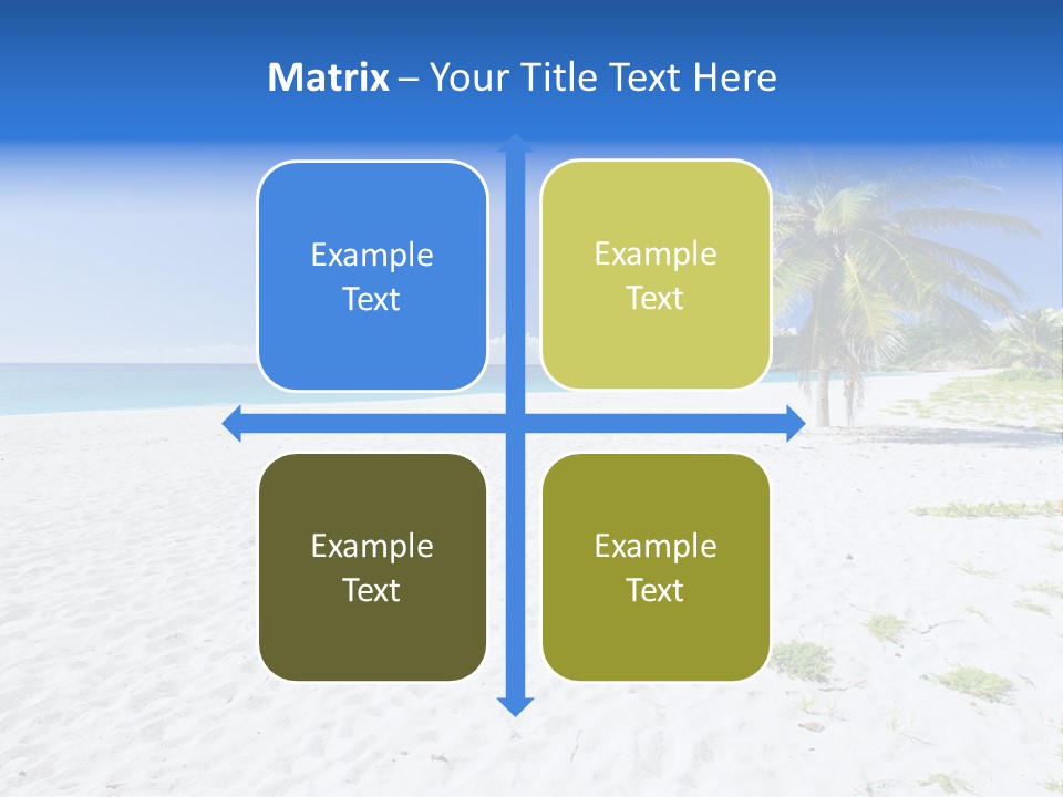 A Palm Tree On A Beach With Blue Water In The Background PowerPoint Template