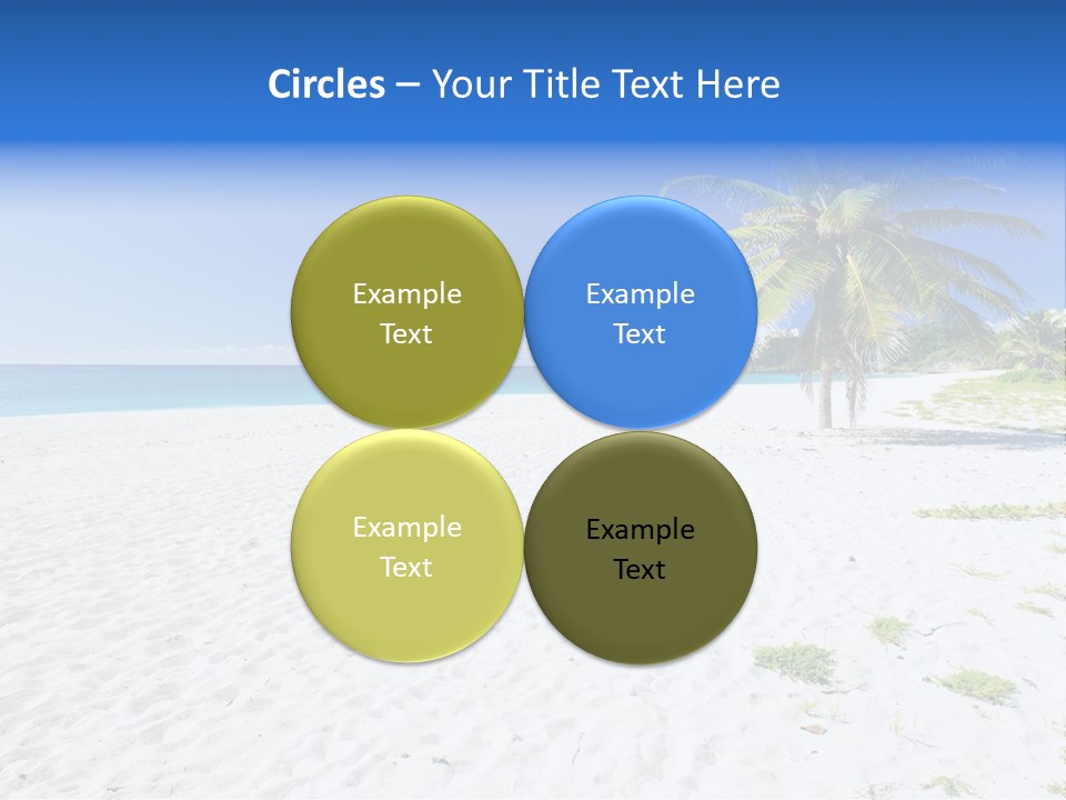 A Palm Tree On A Beach With Blue Water In The Background PowerPoint Template