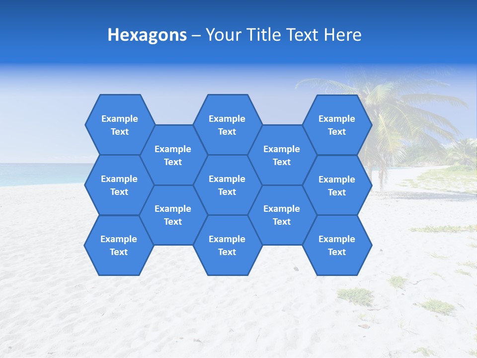 A Palm Tree On A Beach With Blue Water In The Background PowerPoint Template