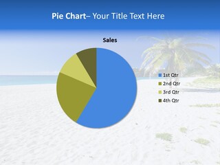 A Palm Tree On A Beach With Blue Water In The Background PowerPoint Template