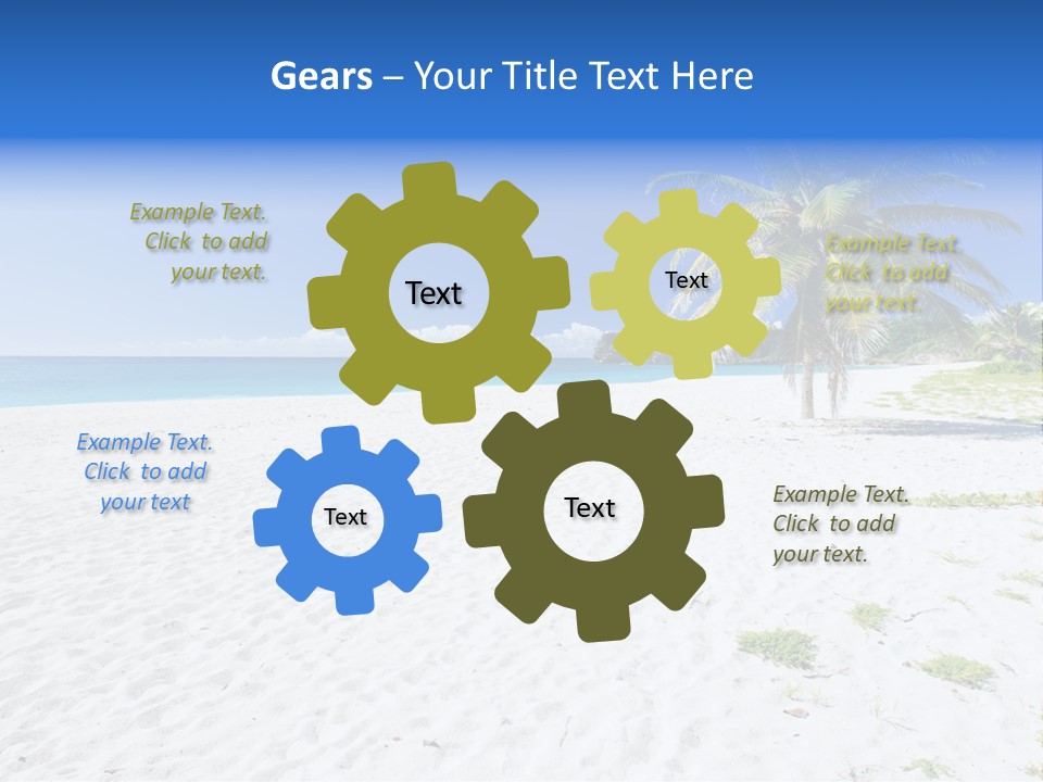 A Palm Tree On A Beach With Blue Water In The Background PowerPoint Template