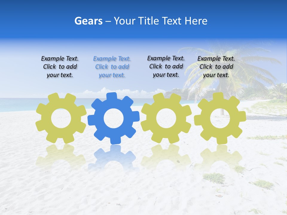 A Palm Tree On A Beach With Blue Water In The Background PowerPoint Template