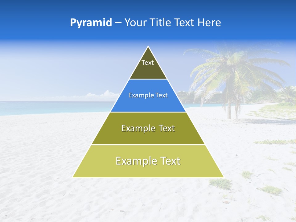 A Palm Tree On A Beach With Blue Water In The Background PowerPoint Template