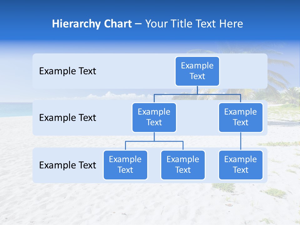 A Palm Tree On A Beach With Blue Water In The Background PowerPoint Template