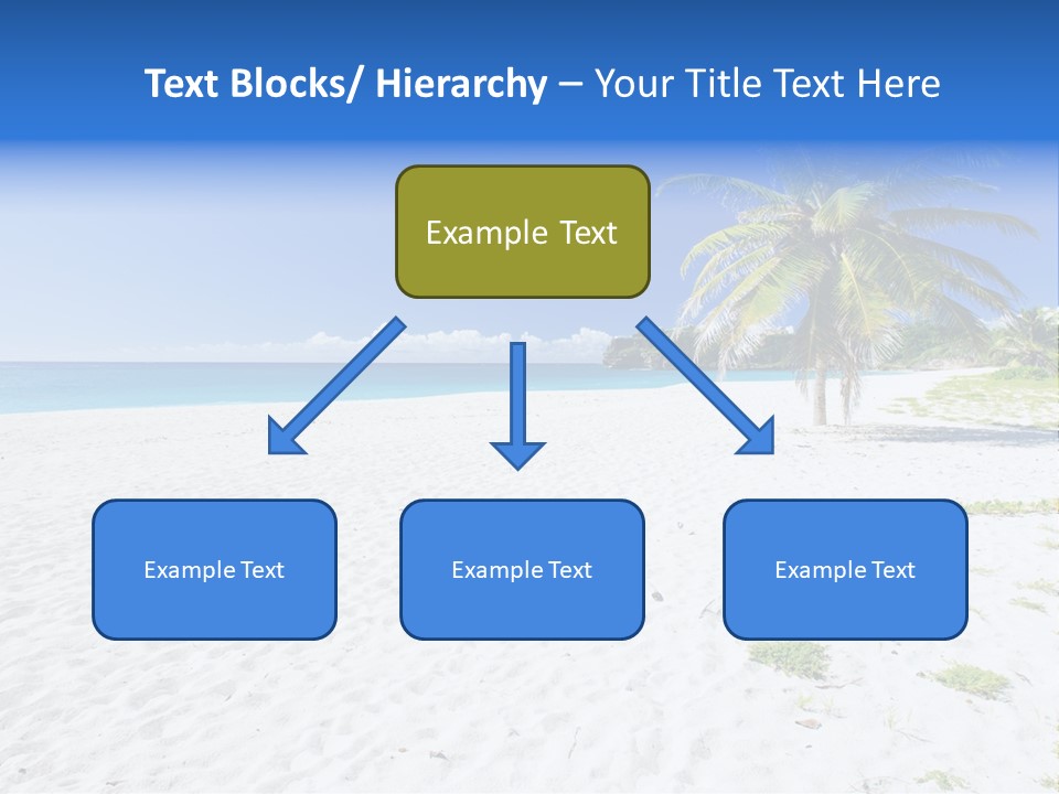 A Palm Tree On A Beach With Blue Water In The Background PowerPoint Template