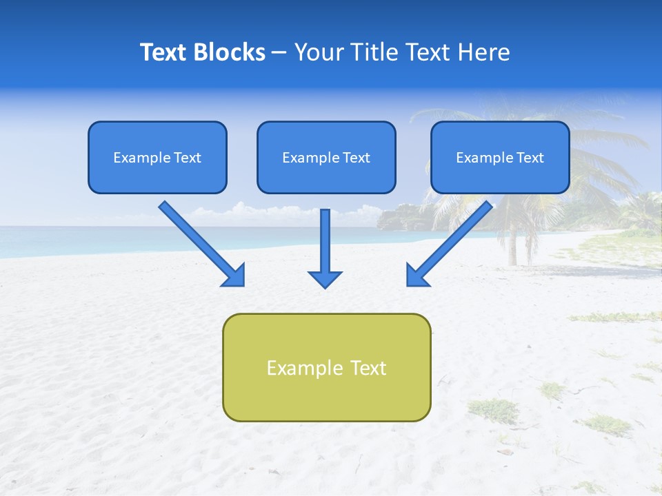 A Palm Tree On A Beach With Blue Water In The Background PowerPoint Template