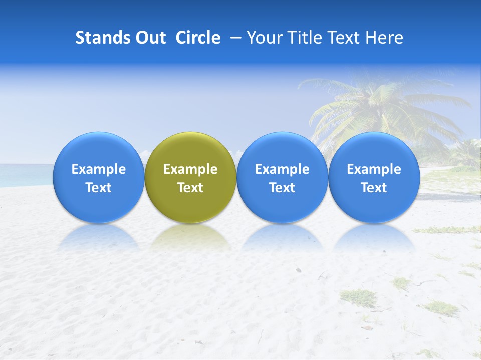 A Palm Tree On A Beach With Blue Water In The Background PowerPoint Template