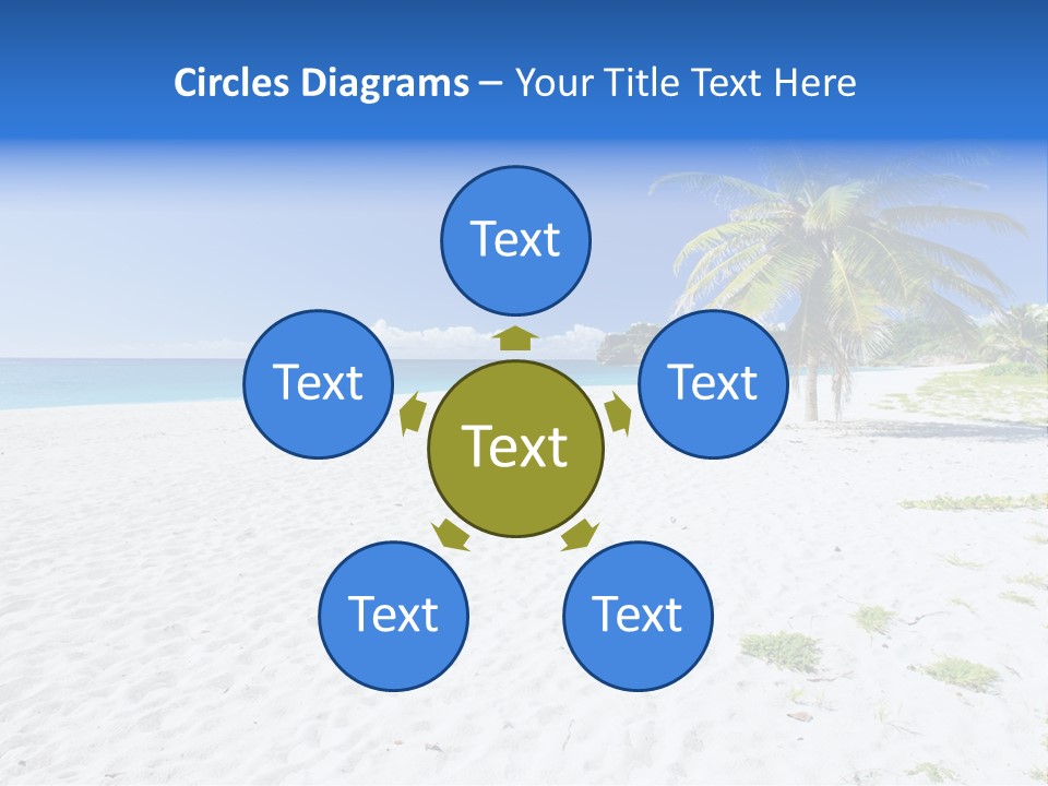 A Palm Tree On A Beach With Blue Water In The Background PowerPoint Template