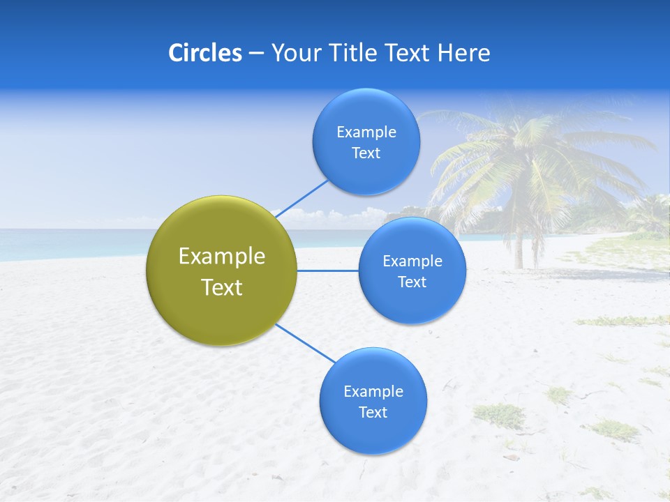 A Palm Tree On A Beach With Blue Water In The Background PowerPoint Template