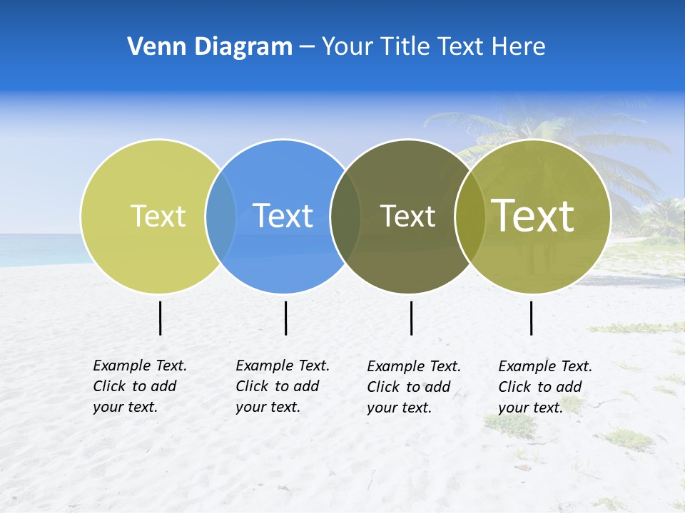 A Palm Tree On A Beach With Blue Water In The Background PowerPoint Template