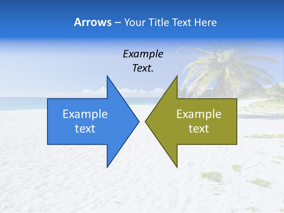 A Palm Tree On A Beach With Blue Water In The Background PowerPoint Template