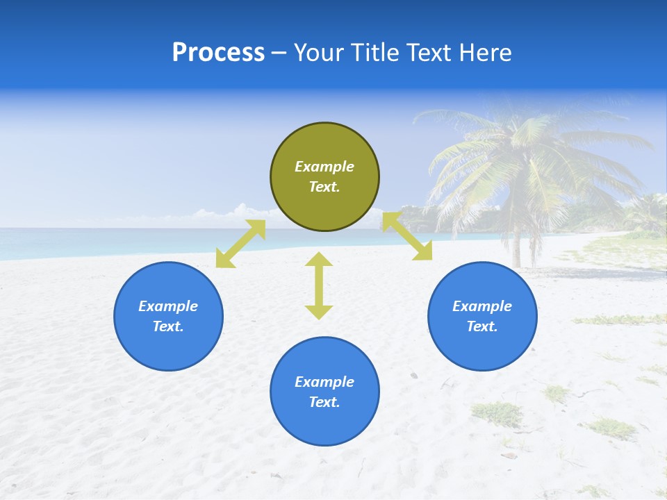 A Palm Tree On A Beach With Blue Water In The Background PowerPoint Template