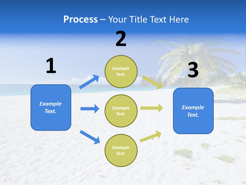 A Palm Tree On A Beach With Blue Water In The Background PowerPoint Template