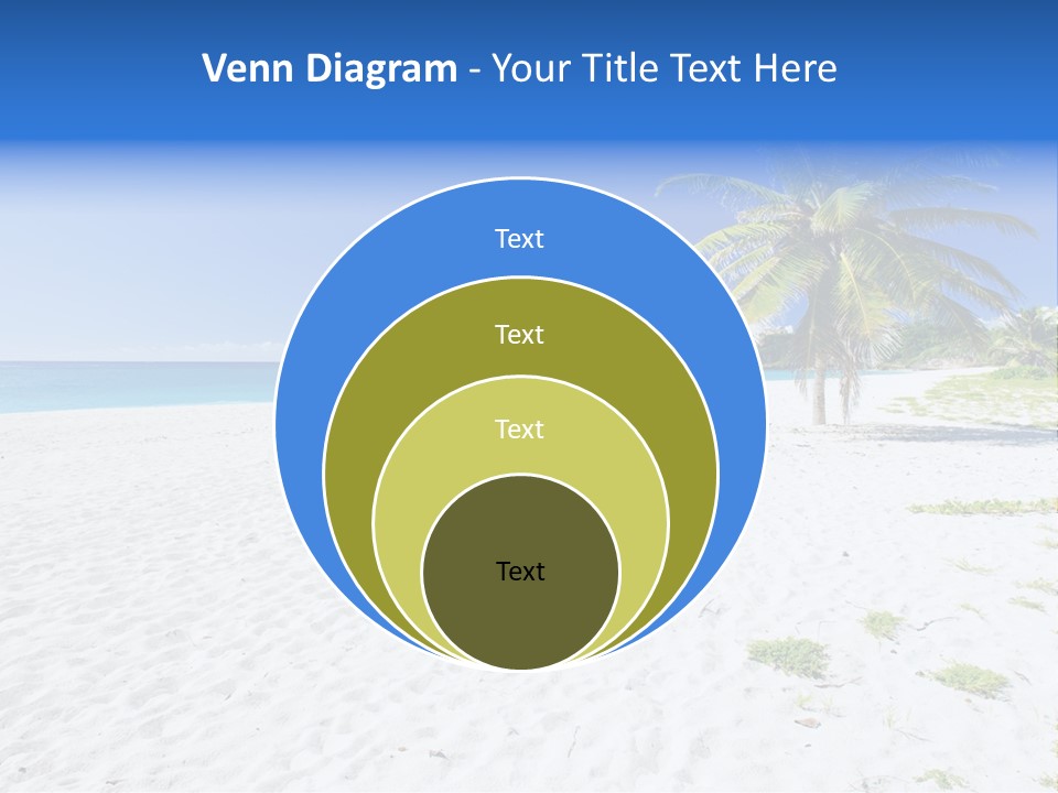 A Palm Tree On A Beach With Blue Water In The Background PowerPoint Template