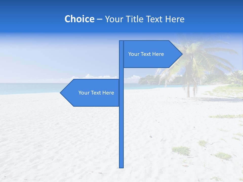 A Palm Tree On A Beach With Blue Water In The Background PowerPoint Template