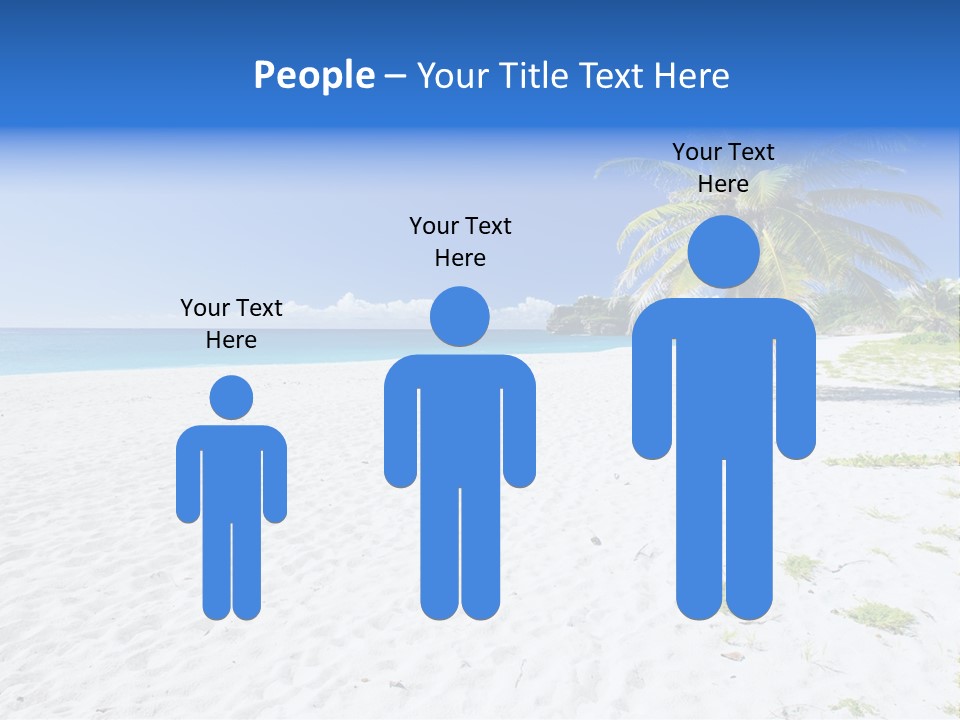 A Palm Tree On A Beach With Blue Water In The Background PowerPoint Template