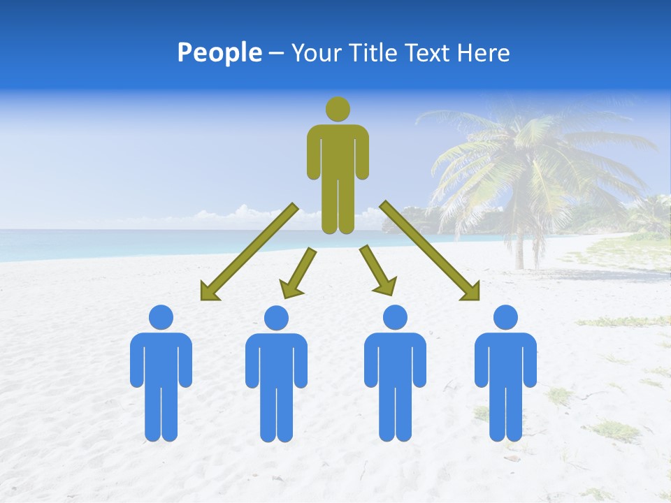 A Palm Tree On A Beach With Blue Water In The Background PowerPoint Template