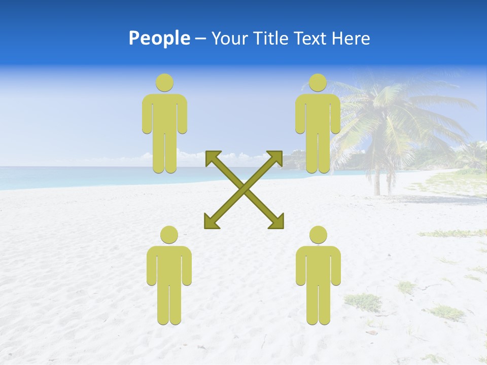 A Palm Tree On A Beach With Blue Water In The Background PowerPoint Template
