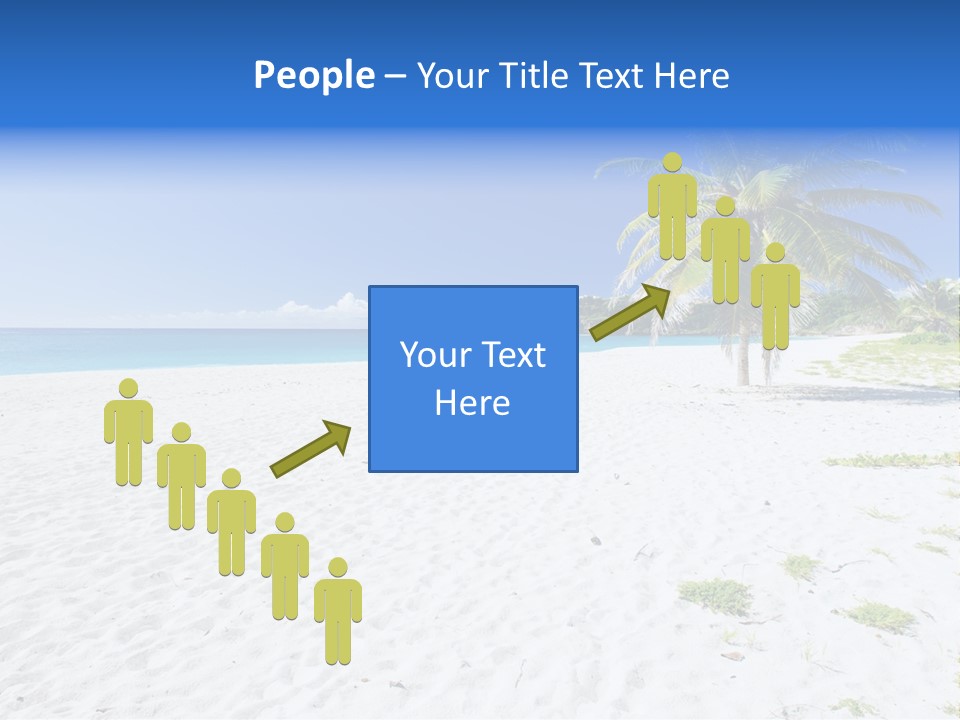 A Palm Tree On A Beach With Blue Water In The Background PowerPoint Template