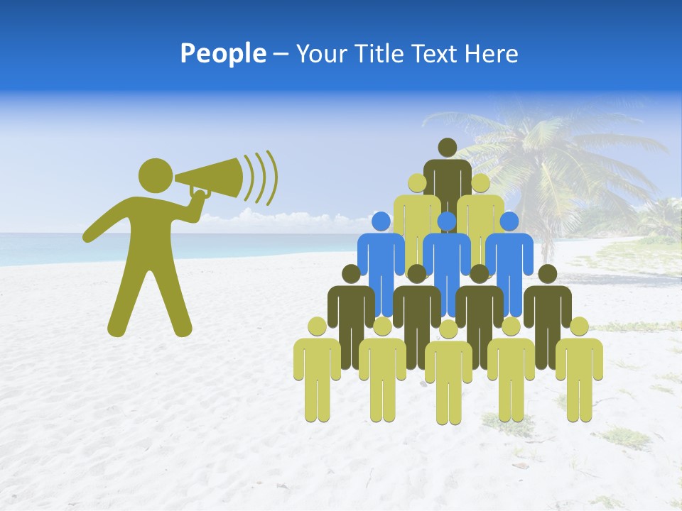 A Palm Tree On A Beach With Blue Water In The Background PowerPoint Template