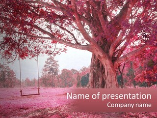 A Tree With A Swing In The Middle Of It PowerPoint Template