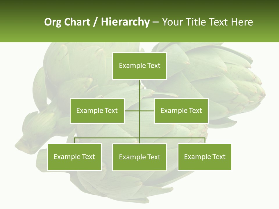 A Bunch Of Green Artichokes On A White Background PowerPoint Template