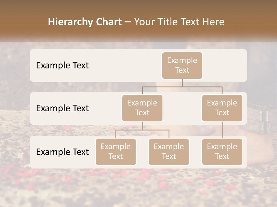 A Person Standing On A Rock With Rose Petals On The Ground PowerPoint Template