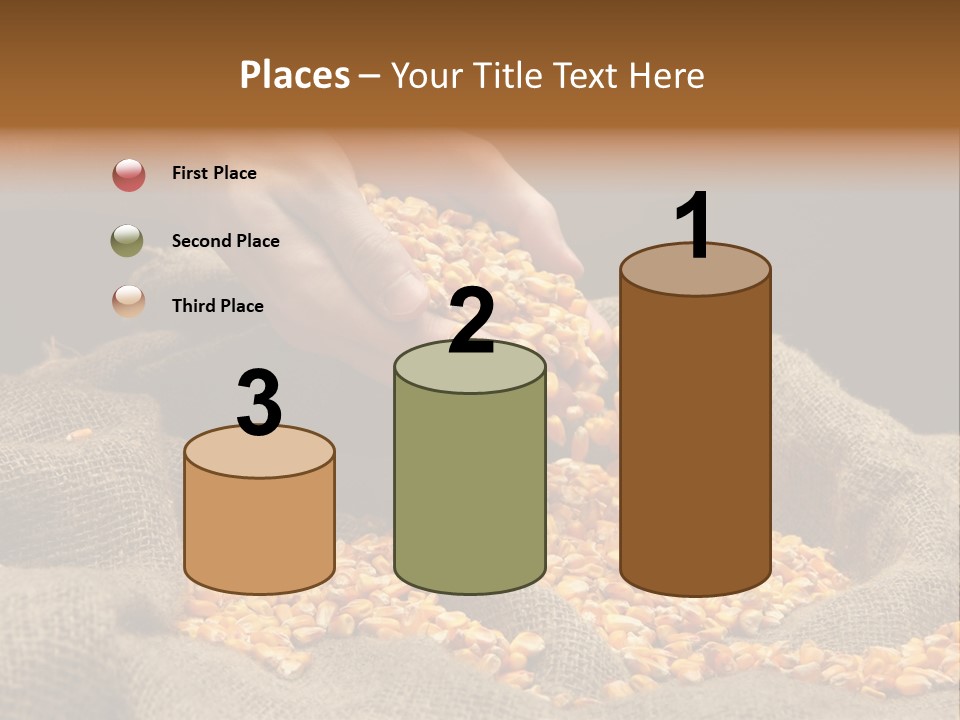 A Person Scooping Corn Out Of A Sack PowerPoint Template