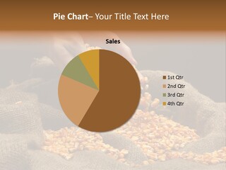 A Person Scooping Corn Out Of A Sack PowerPoint Template