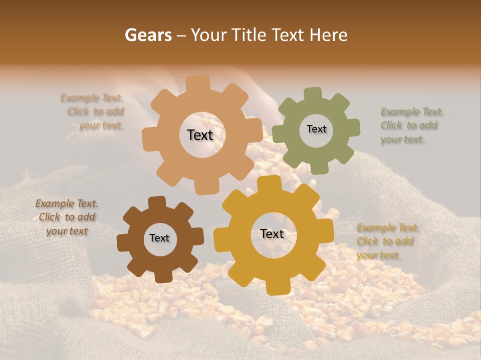 A Person Scooping Corn Out Of A Sack PowerPoint Template