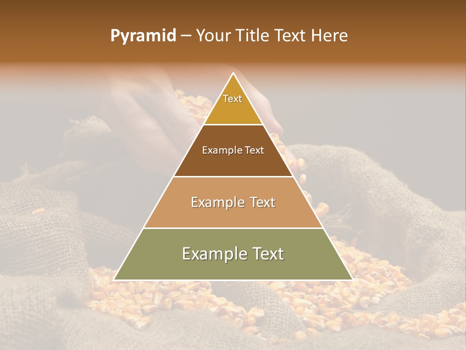 A Person Scooping Corn Out Of A Sack PowerPoint Template