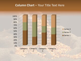 A Person Scooping Corn Out Of A Sack PowerPoint Template
