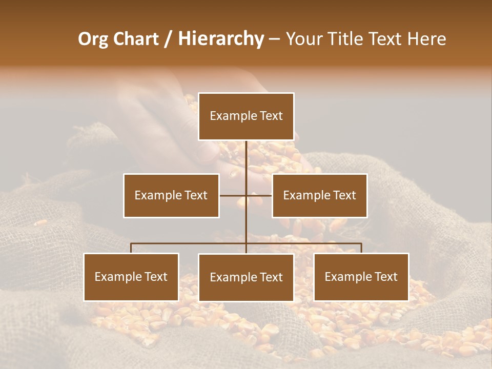 A Person Scooping Corn Out Of A Sack PowerPoint Template