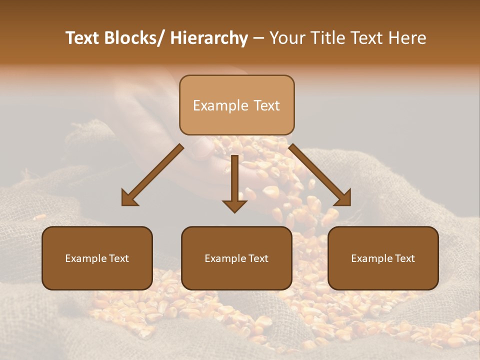 A Person Scooping Corn Out Of A Sack PowerPoint Template