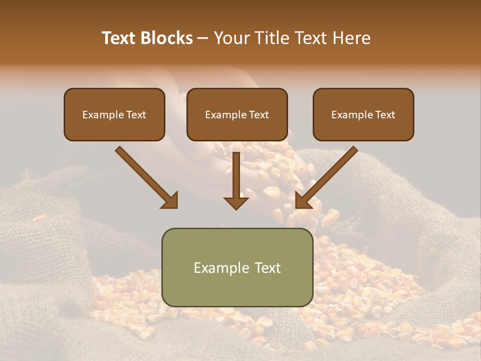 A Person Scooping Corn Out Of A Sack PowerPoint Template