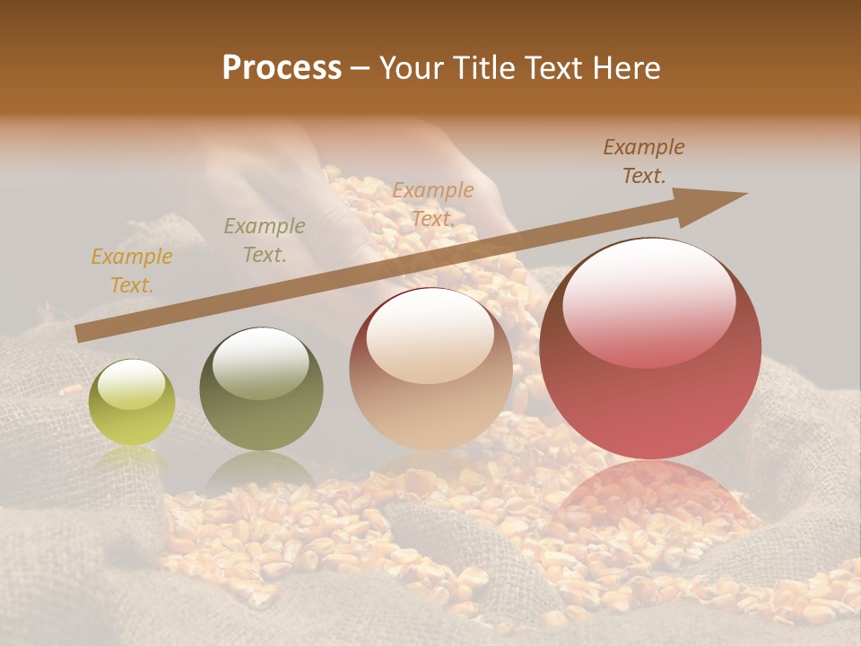 A Person Scooping Corn Out Of A Sack PowerPoint Template