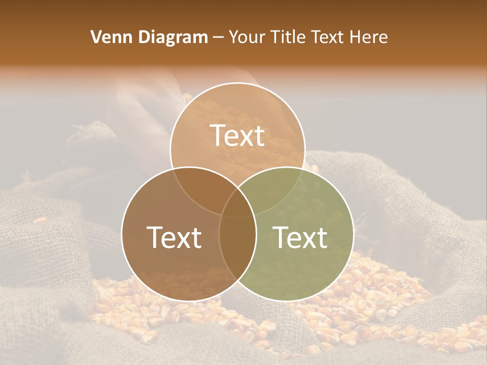 A Person Scooping Corn Out Of A Sack PowerPoint Template