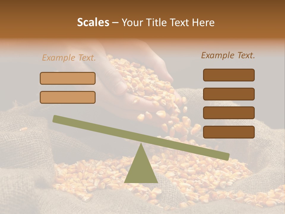 A Person Scooping Corn Out Of A Sack PowerPoint Template