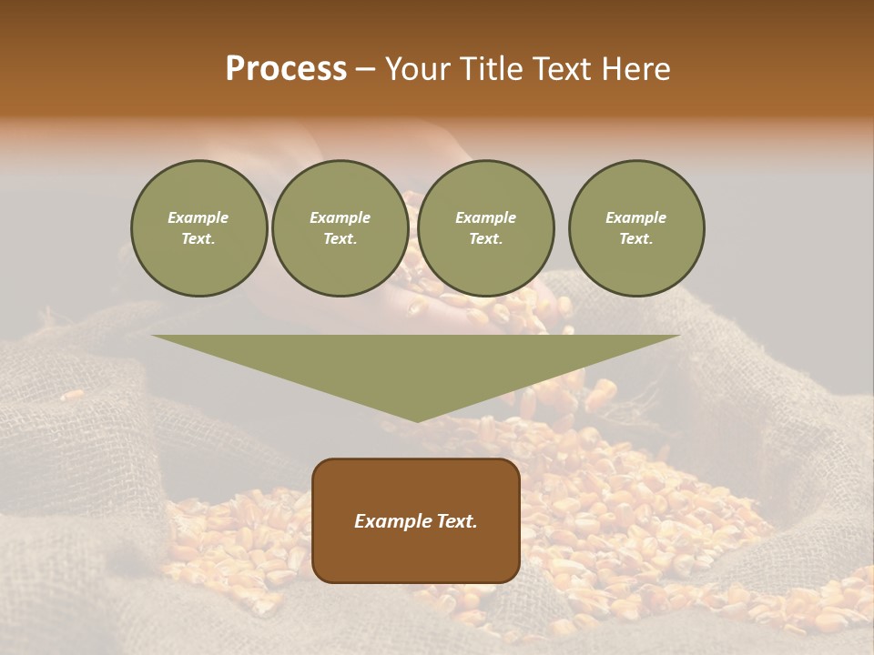 A Person Scooping Corn Out Of A Sack PowerPoint Template