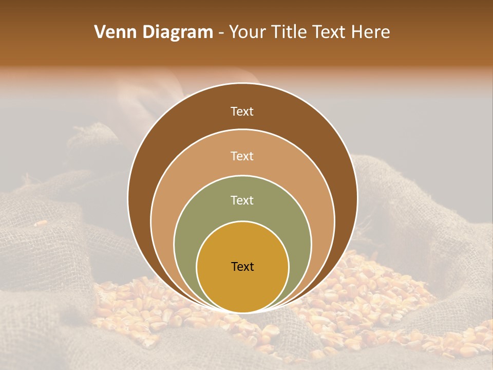 A Person Scooping Corn Out Of A Sack PowerPoint Template