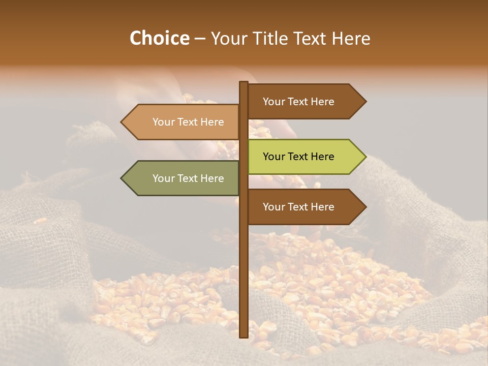 A Person Scooping Corn Out Of A Sack PowerPoint Template