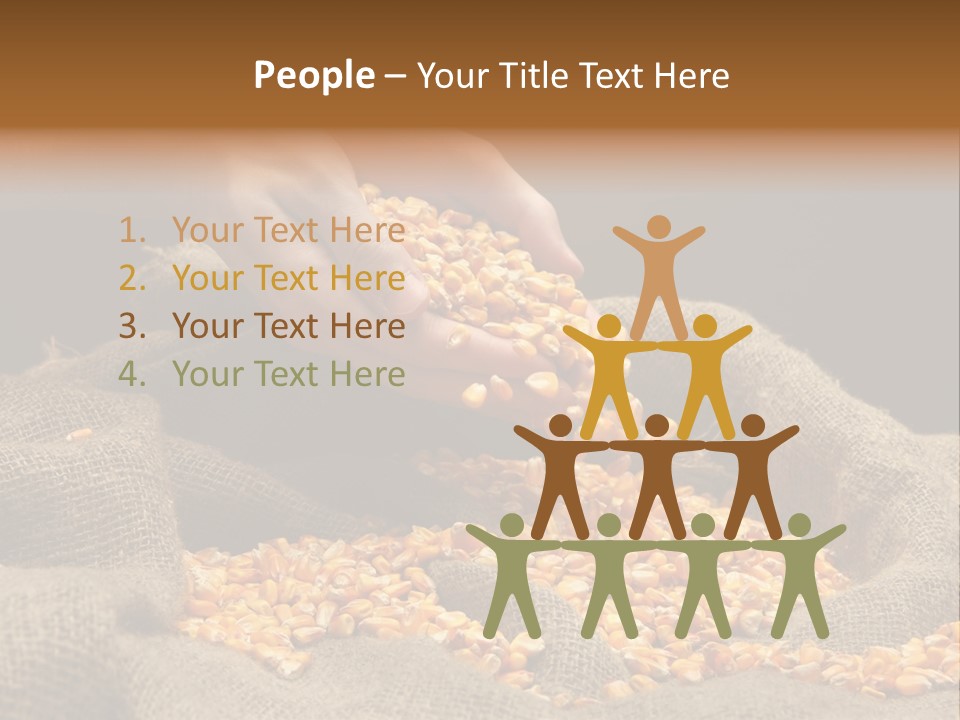 A Person Scooping Corn Out Of A Sack PowerPoint Template